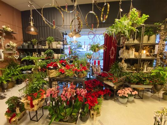 E2DBD654-5185-4441-AA44-51A4BC74642A-7AE914D3-3074-49A3-B6A9-3042BD7E493E