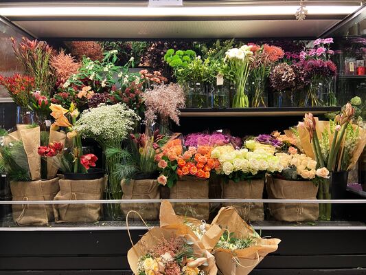 0627FA59-AEF9-4DD8-8A97-81CC013437C2-F8D72F89-52A4-49BF-B186-B14971F427A8